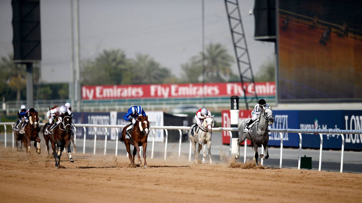 Zawrotne prędkości i astronomiczne sumy. Saudi Cup 2024 wkracza w światowy prestiż wyścigów