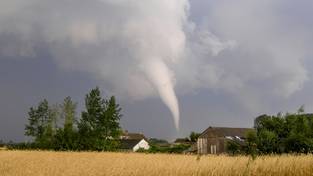 26.07.2023 05:56 Trąby powietrzne nad Polską. Pozrywane dachy, połamane drzewa. Szokujące zdjęcia