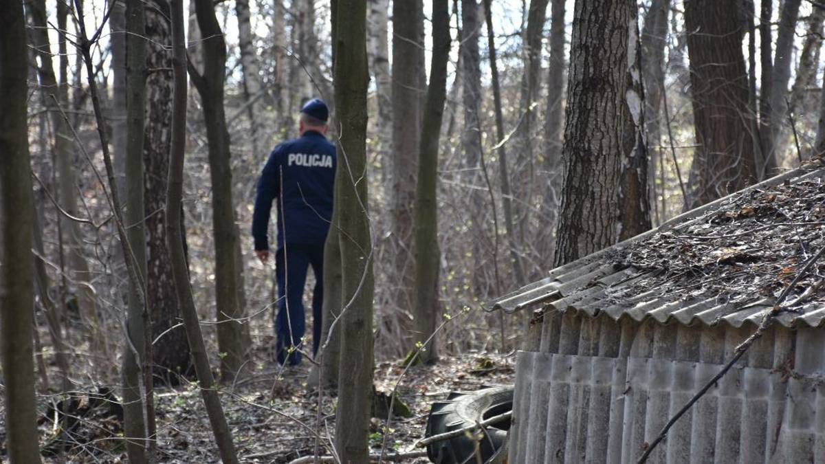 Zamieszkał w leśnej ziemiance. "Sporadycznie" z niej wychodził
