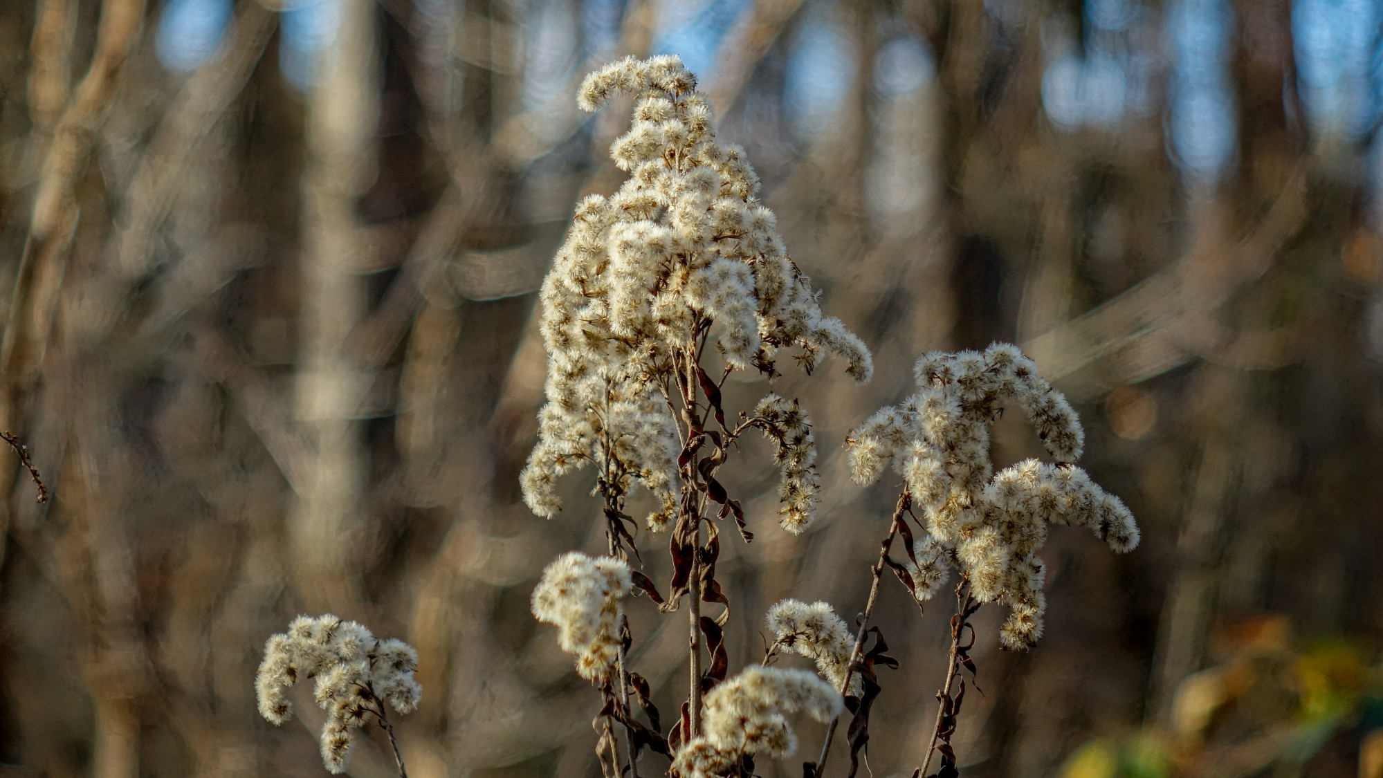Listopad w obiektywie - zdjęcie 34