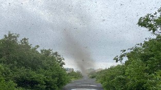 09.07.2022 05:56 Tornada komarów nie dają żyć Chińczykom. Najgorsze jednak dopiero nadejdzie [WIDEO]