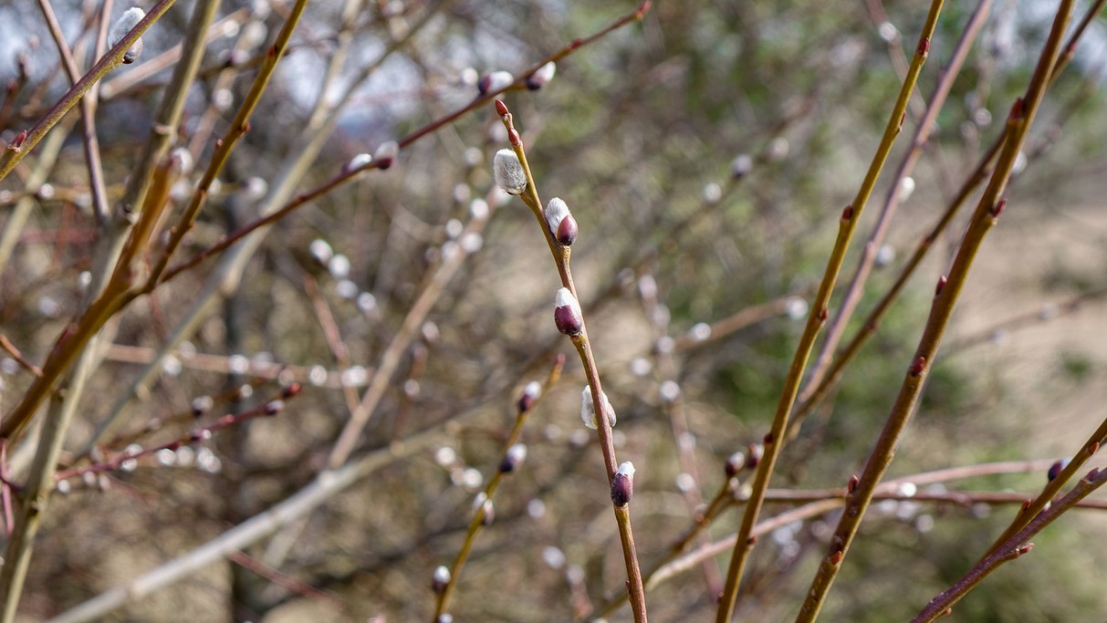 Luty w obiektywie - zdjęcie 29