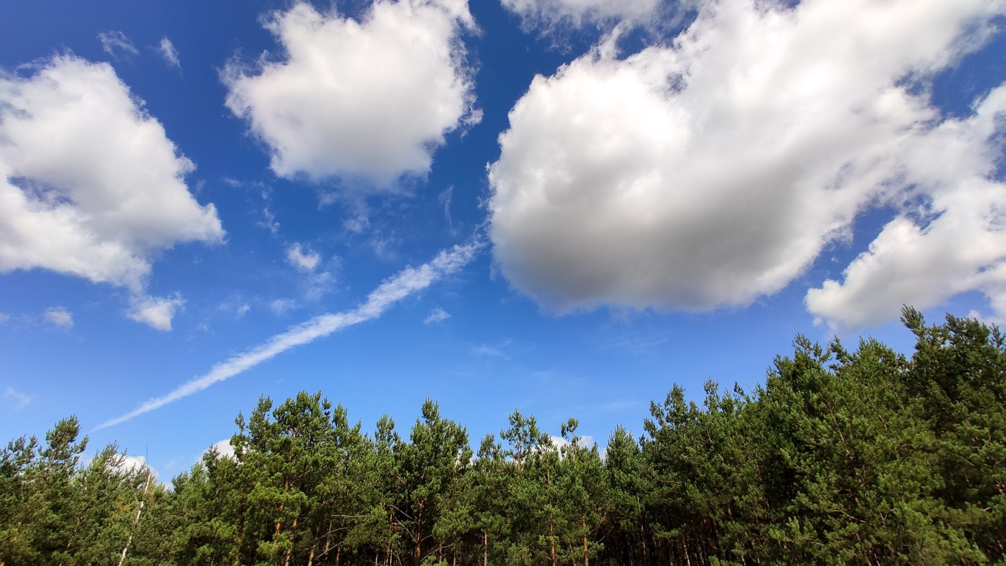 Wrzesień w obiektywie - zdjęcie 53