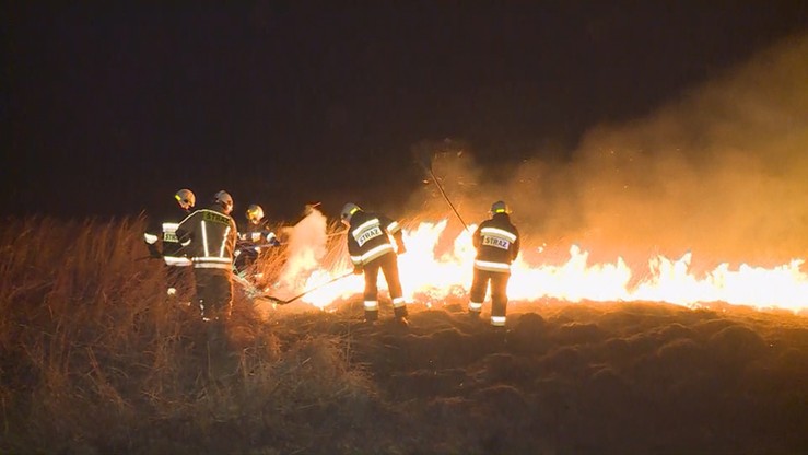 Tragiczny pożar na Podbeskidziu. W altanie znaleziono zwęglone zwłoki