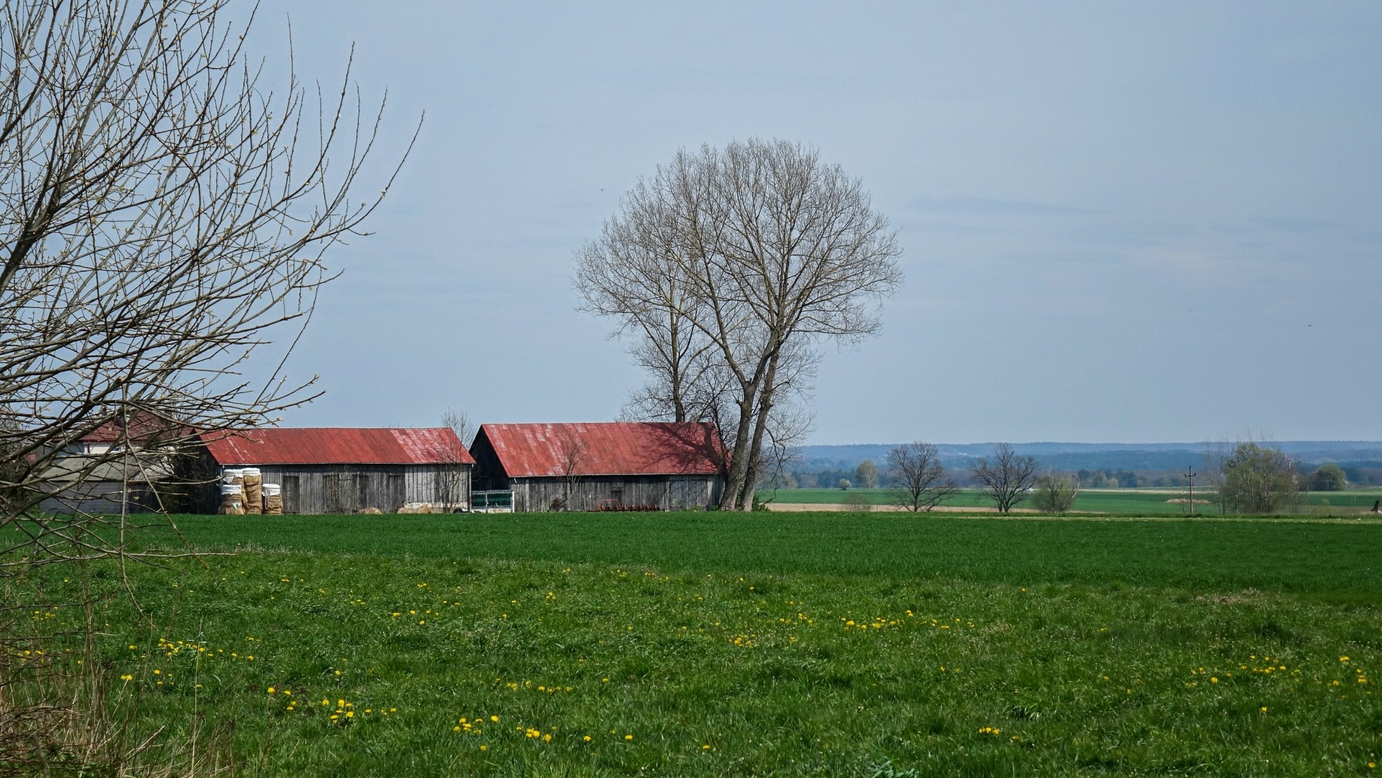 Podróż przez wiosenną Polskę - zdjęcie 12