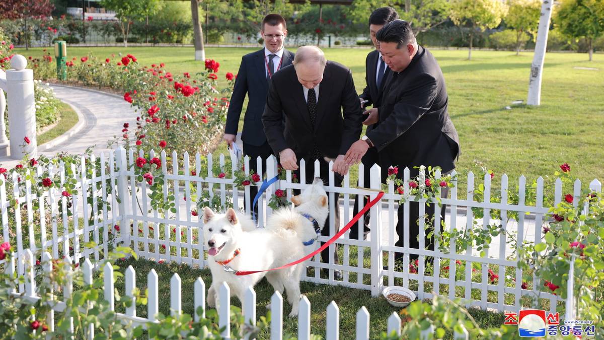 Putin otrzymał nietypowy prezent. Pokazała to reżimowa telewizja