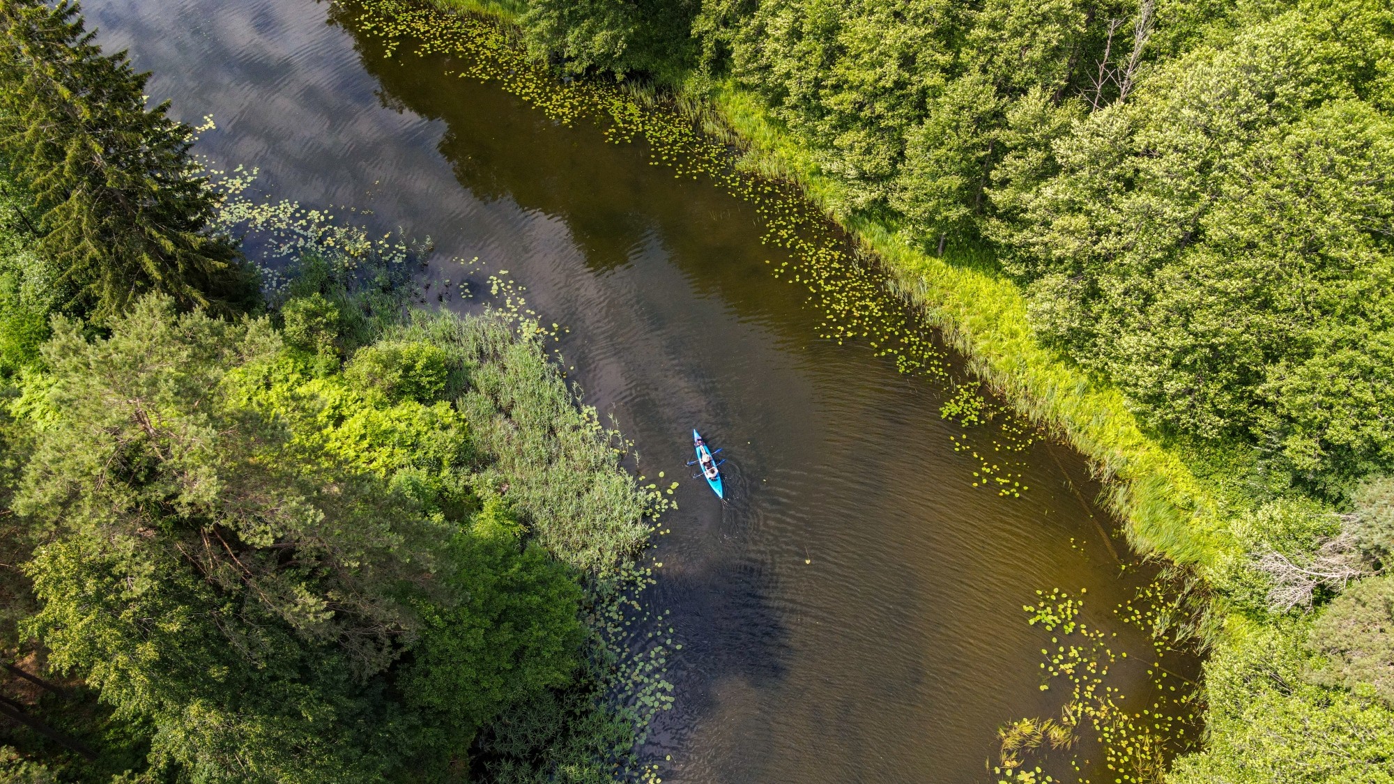 Cuda polskiej natury - zdjęcie 29