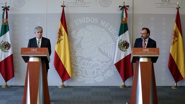 "Meksyk powinien być traktowany z szacunkiem". Hiszpania przeciw budowie muru zapowiadanego przez Trumpa