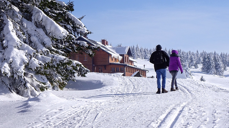 16.01.2019 08:00 Puchar Świata już w weekend, a Zakopane sparaliżowane po śnieżycy. W Tatrach znów lawinowa „czwórka”