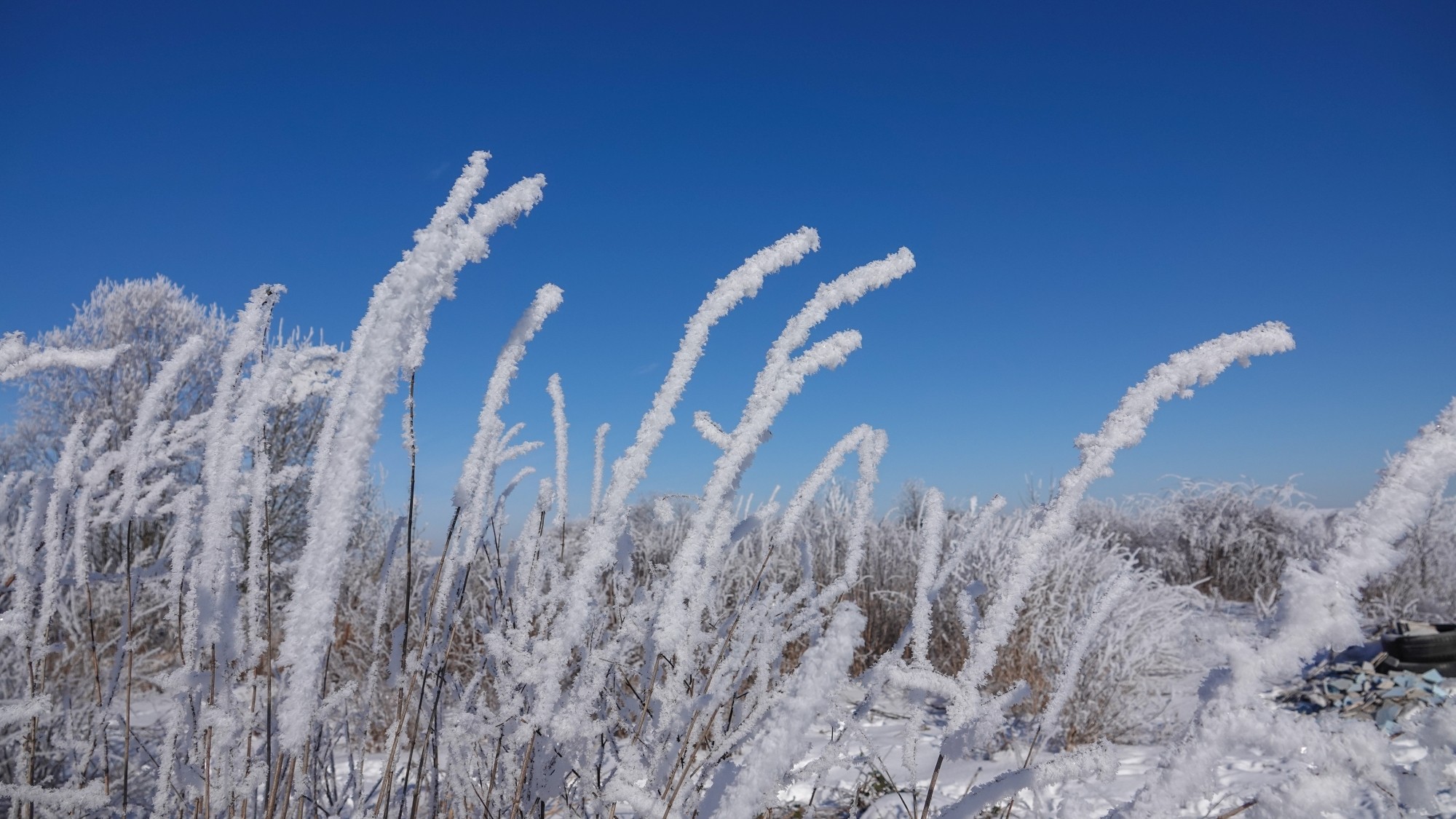 Kraina Narnii - zdjęcie 17