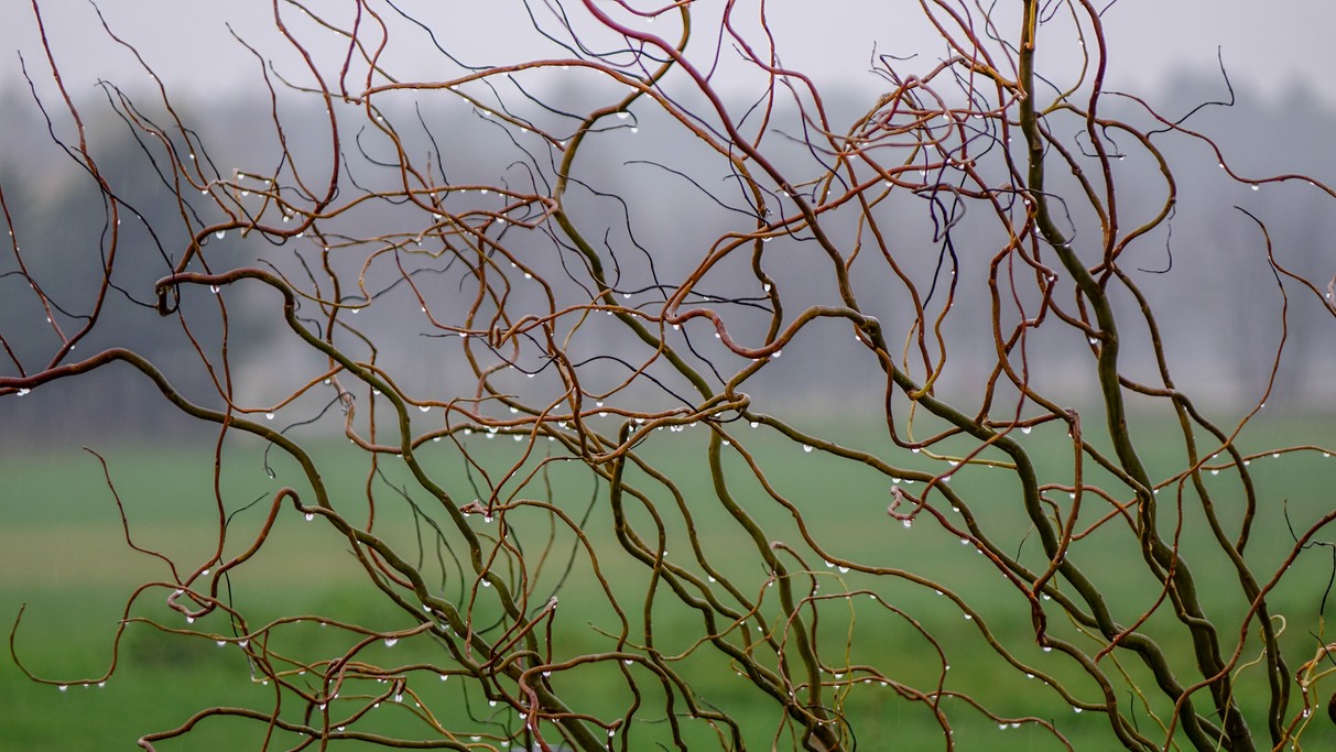 Grudzień w obiektywie - zdjęcie 9