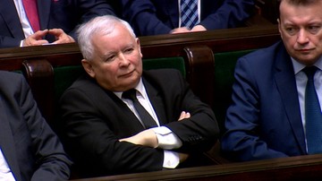 "To decyzja Jarosława Kaczyńskiego spowodowała, że chronione są łosie"