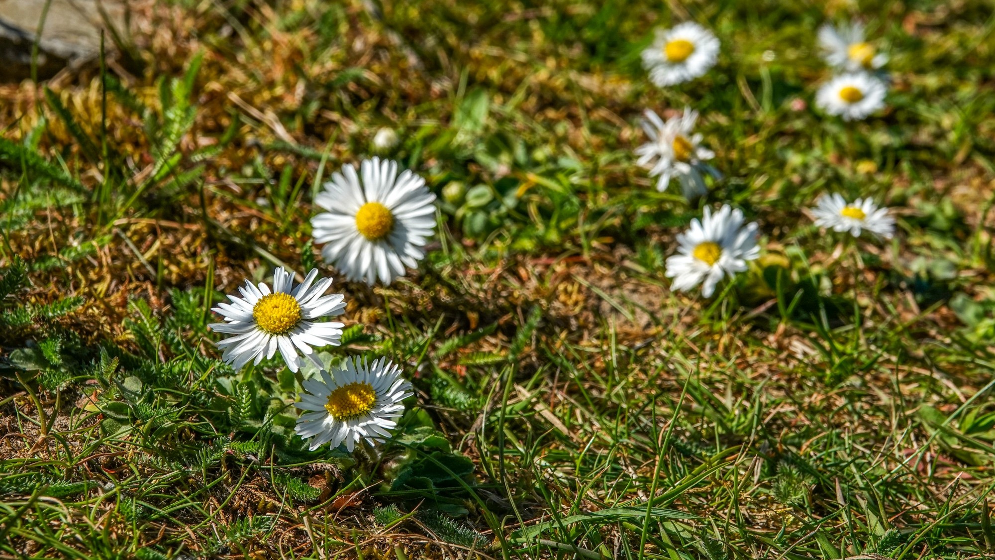 Wiosenna pobudka - zdjęcie 5