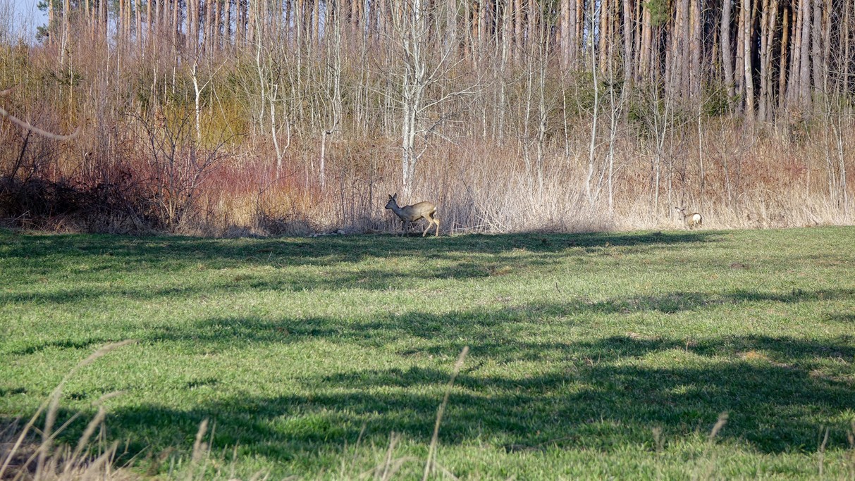 Marzec w obiektywie - zdjęcie 47
