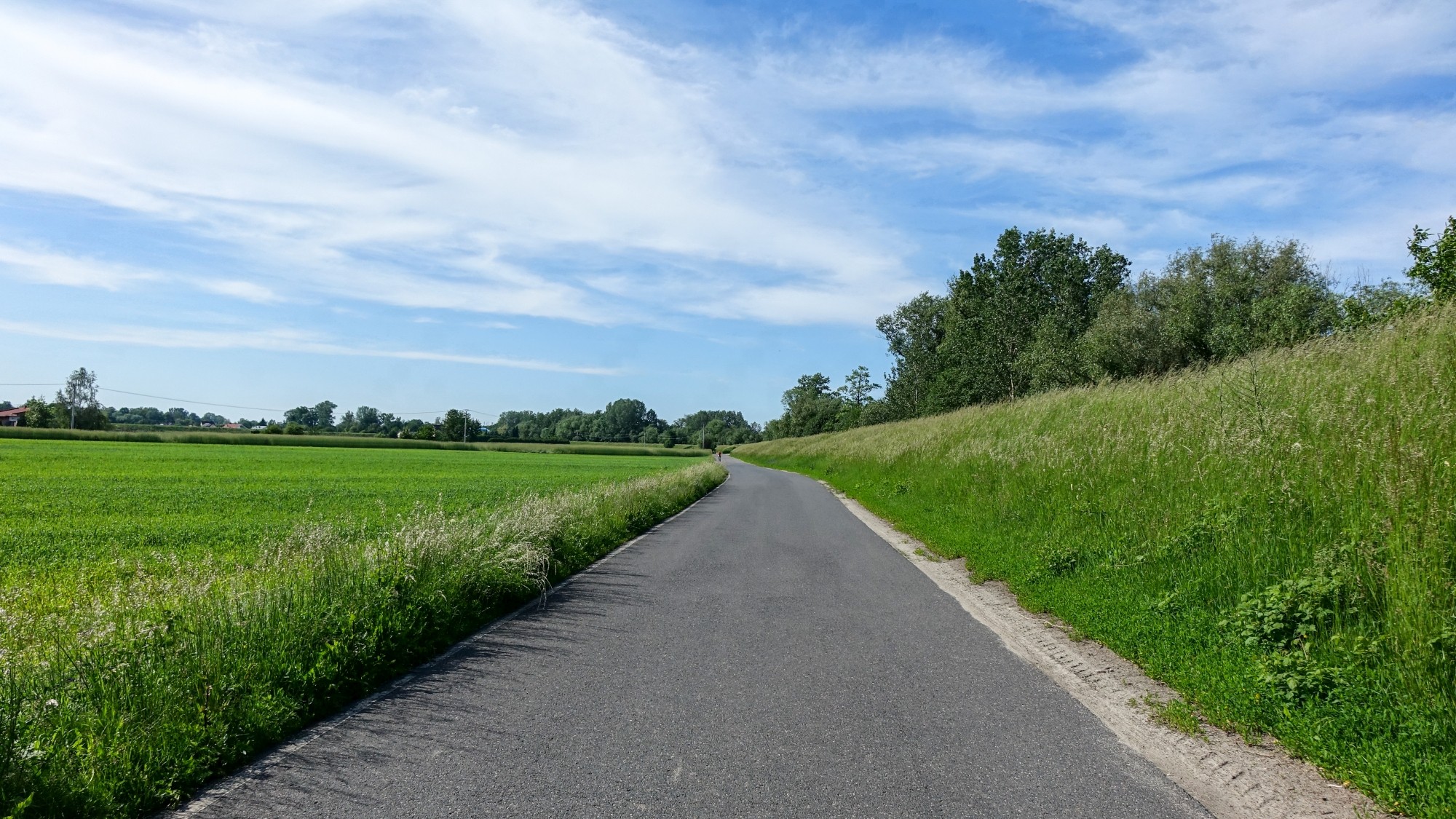 Maj w obiektywie - zdjęcie 26