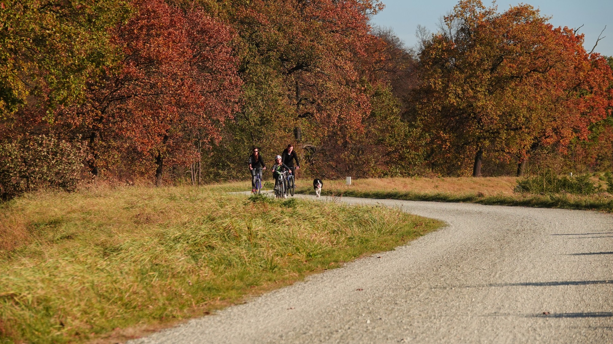 Jesienne klimaty - zdjęcie 50