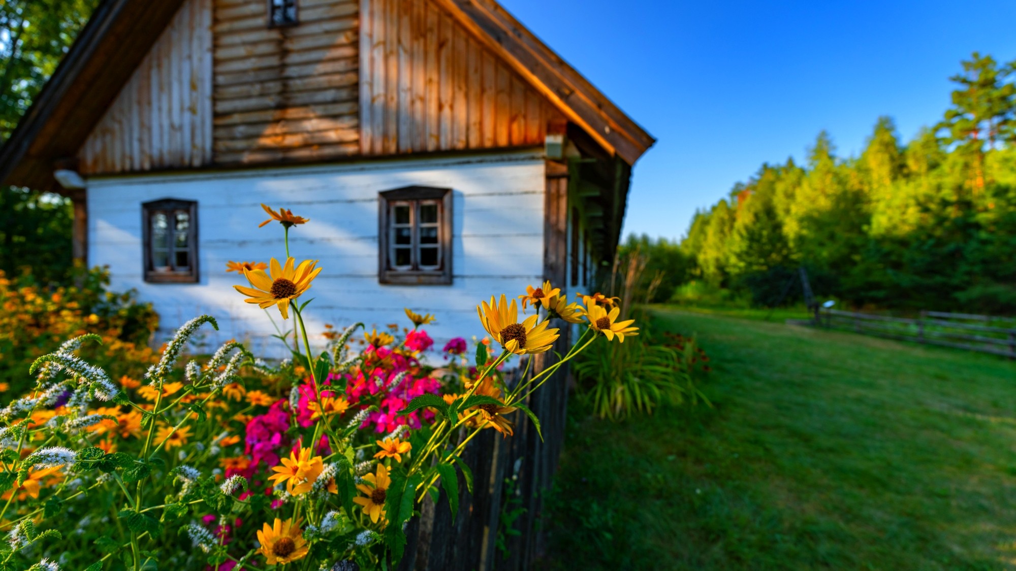 Wśród natury - zdjęcie 36