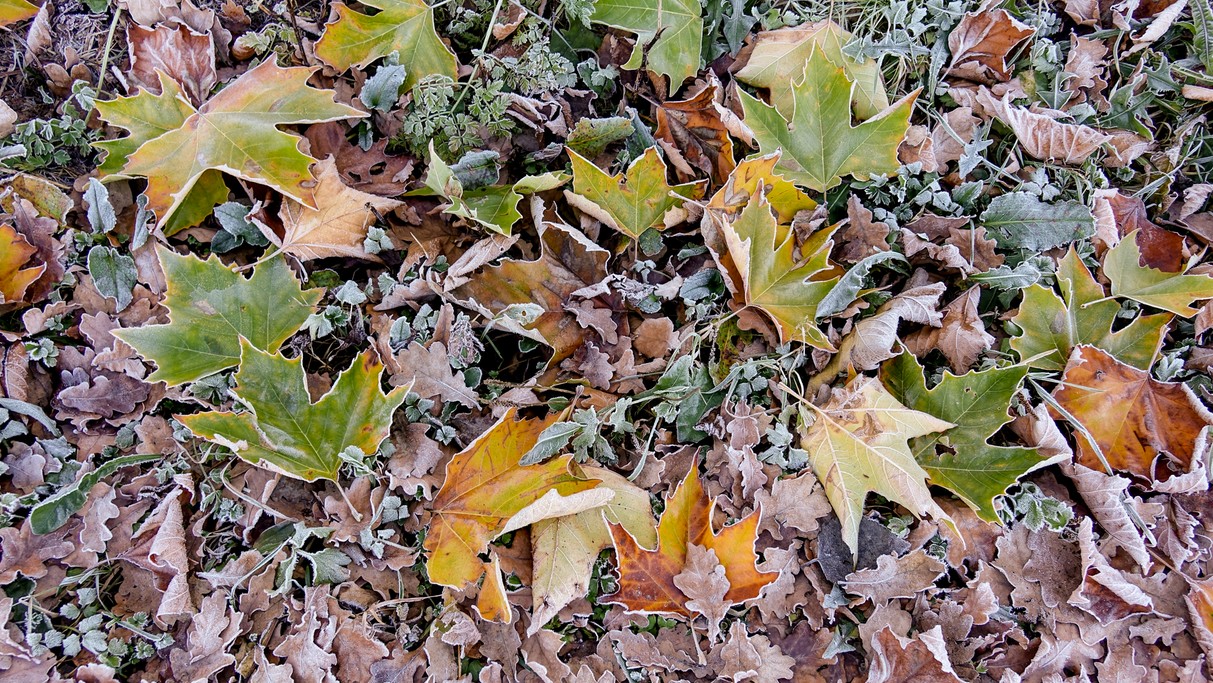 Listopad w obiektywie - zdjęcie 27