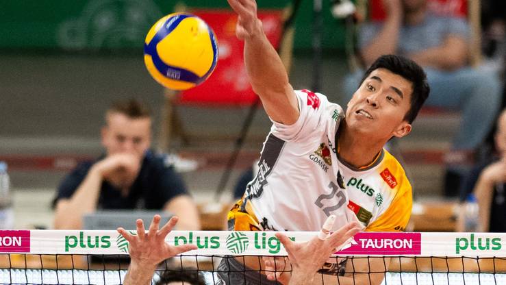 Zagraniczni siatkarze w klubach PlusLigi