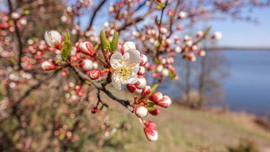 Fot. TwojaPogoda.pl