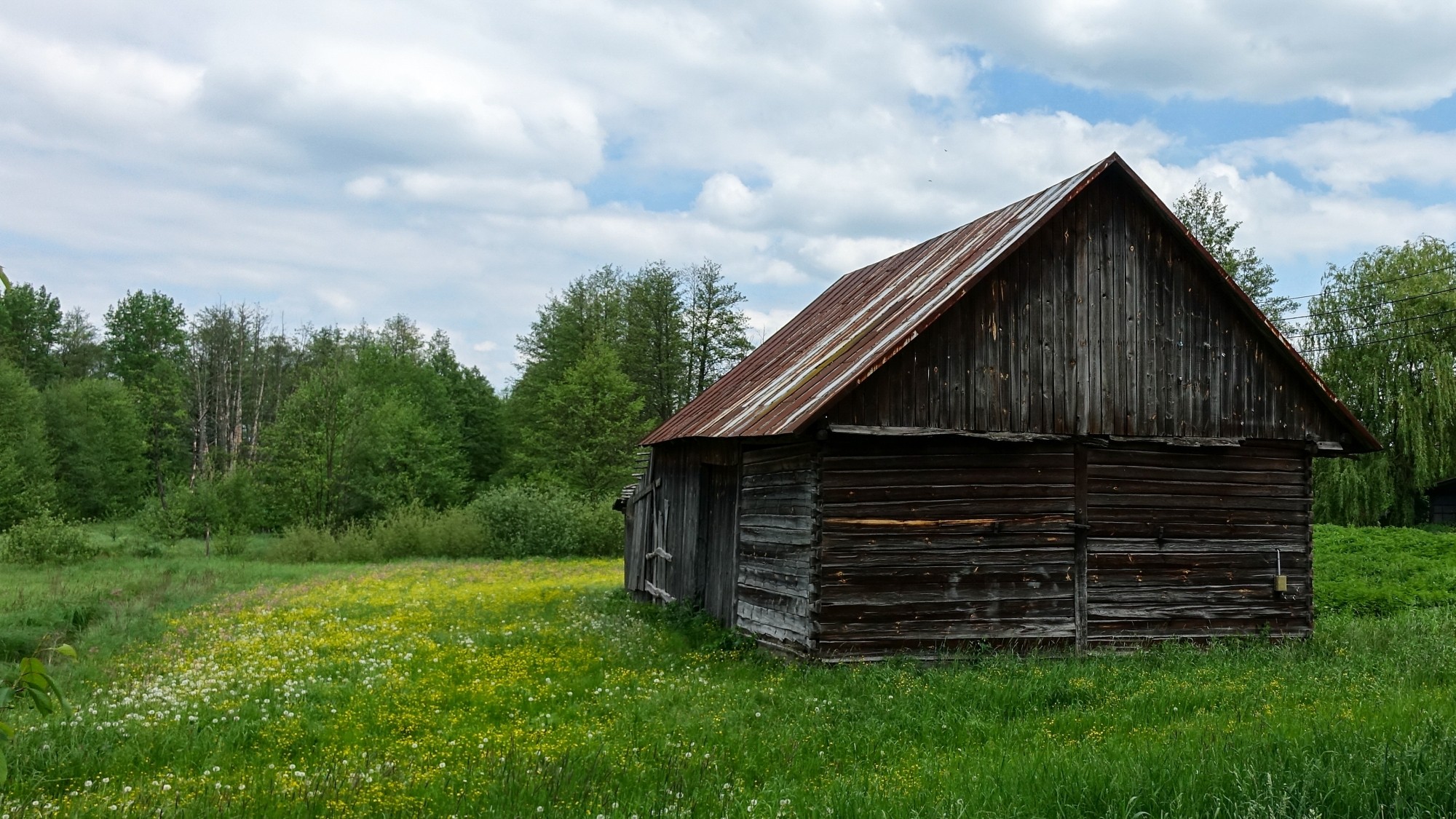Maj w obiektywie - zdjęcie 51