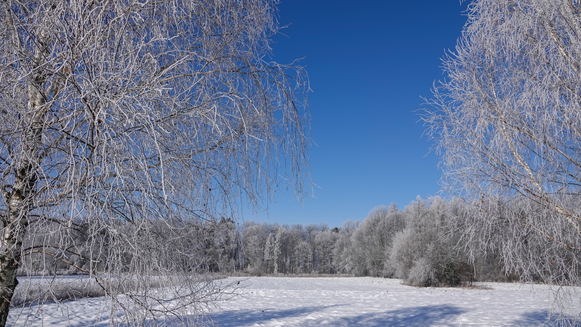Kraina Narnii - zdjęcie 16