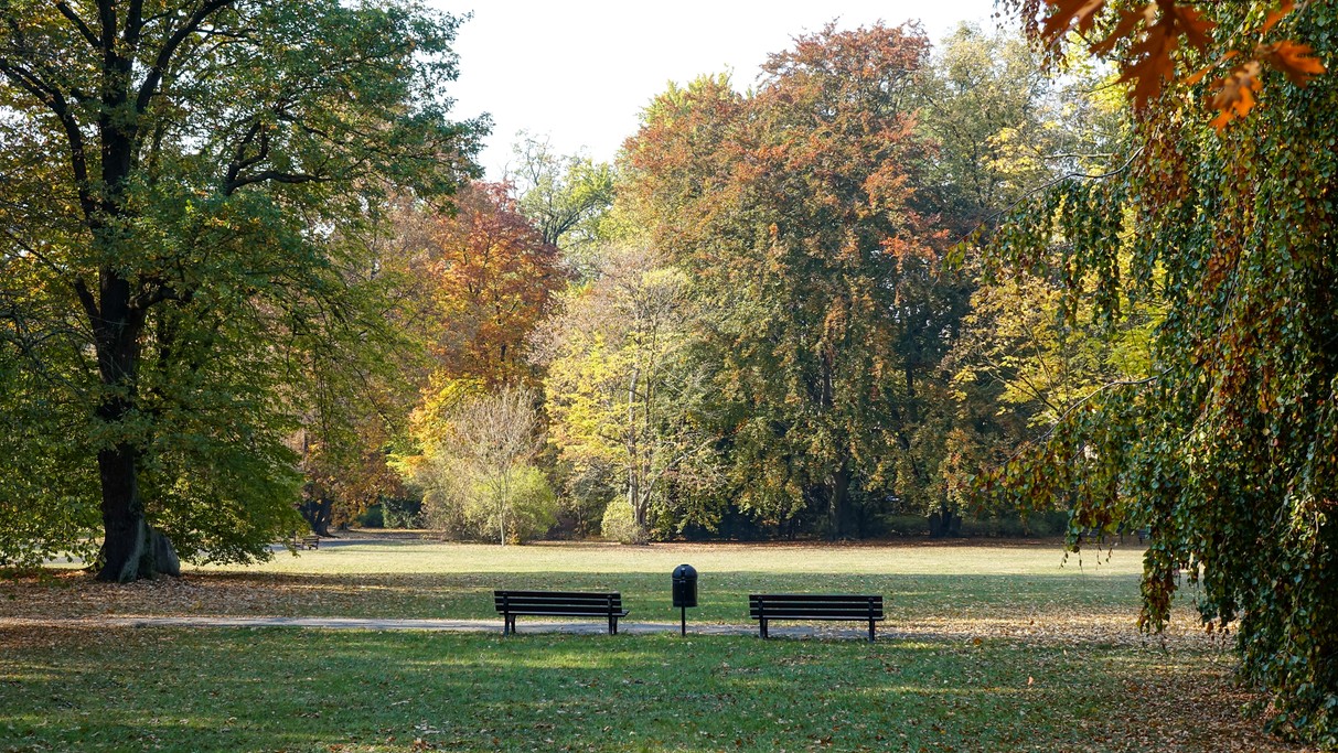 Jesienne klimaty - zdjęcie 30