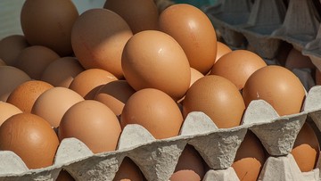 Jaja z kodami 3PL30221321 i 3PL30221304 wycofane ze sprzedaży