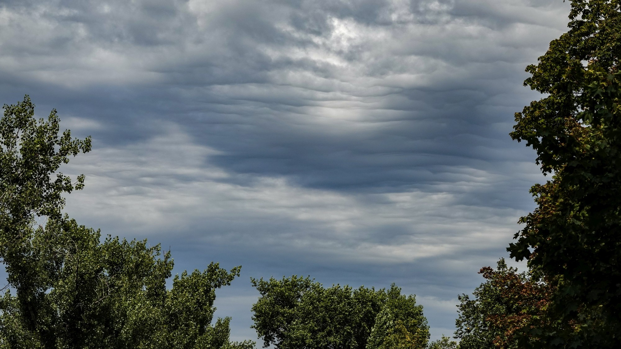 Na pożegnanie lata - zdjęcie 33