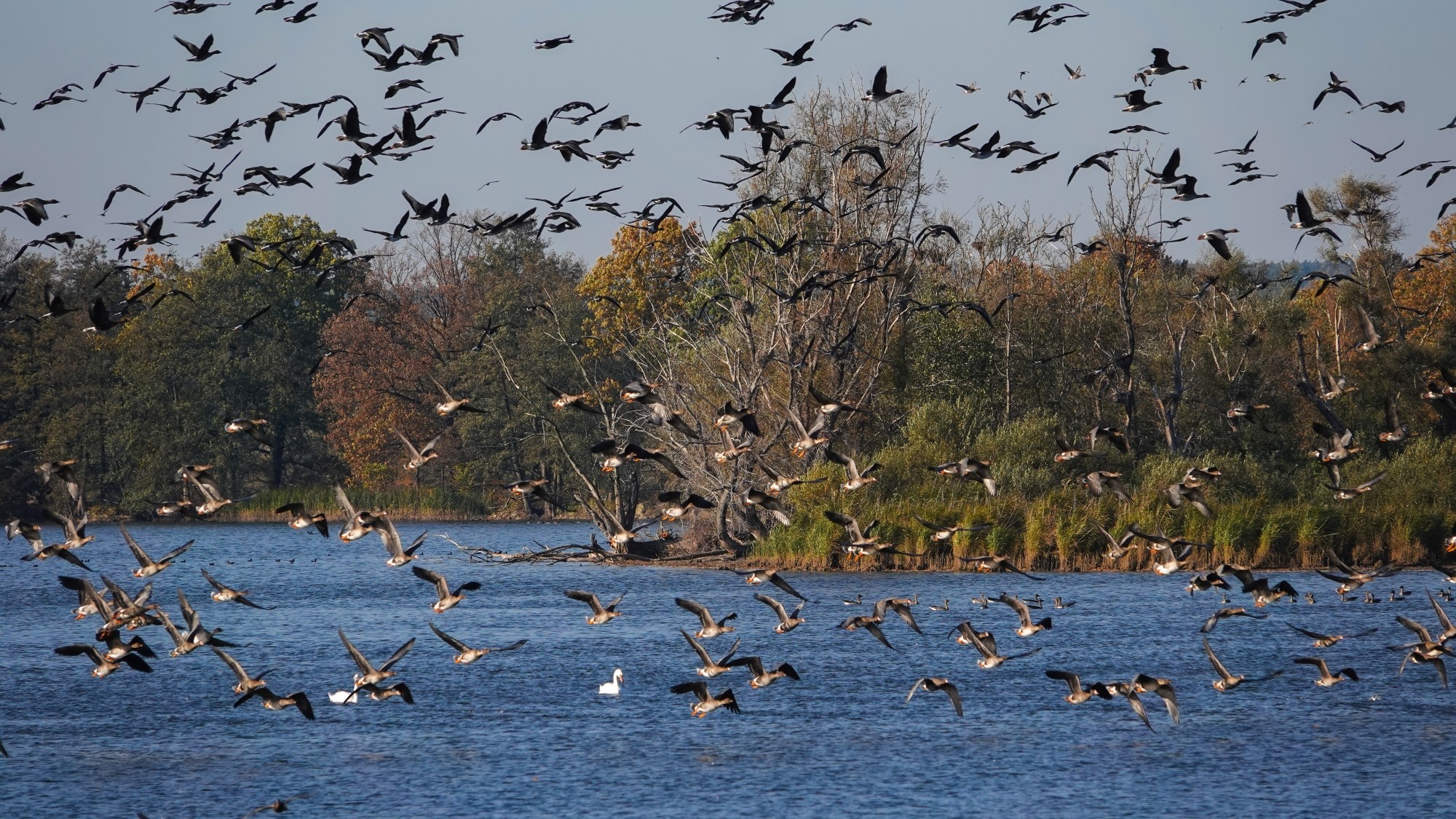 100 najpiękniejszych zdjęć 2021 roku - zdjęcie 34
