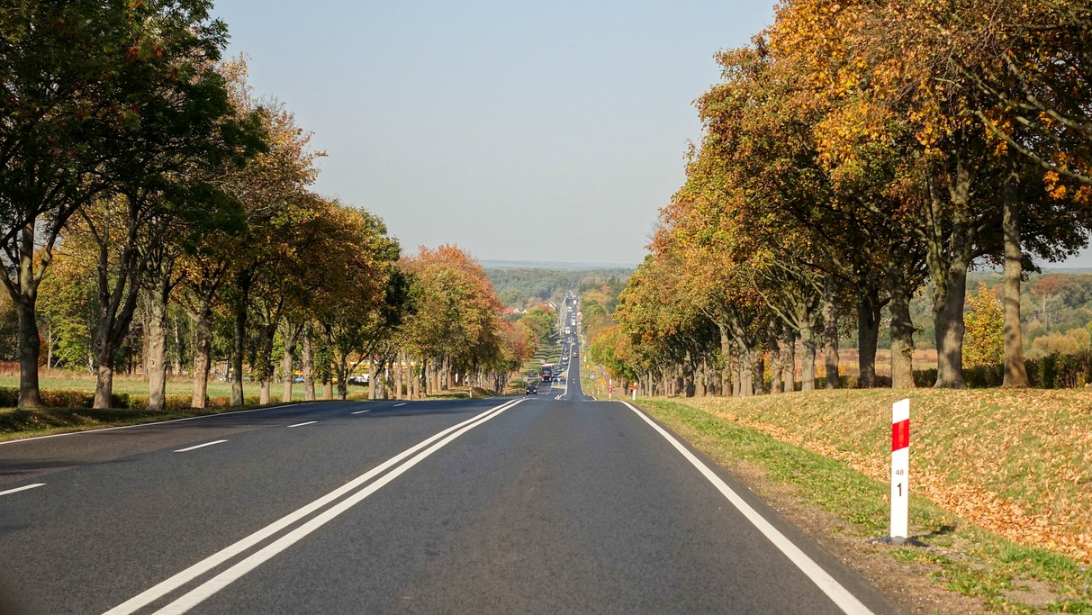 Jesienne krajobrazy za miastem - zdjęcie 68