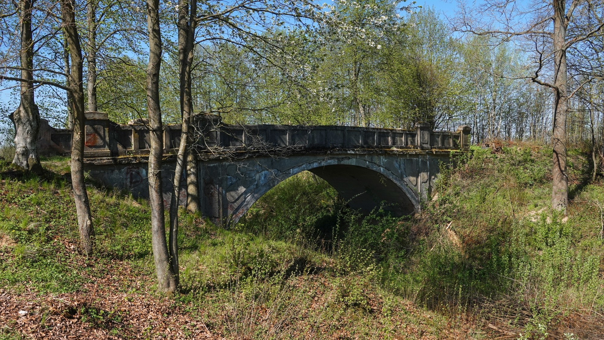 W maju jak w raju - zdjęcie 38
