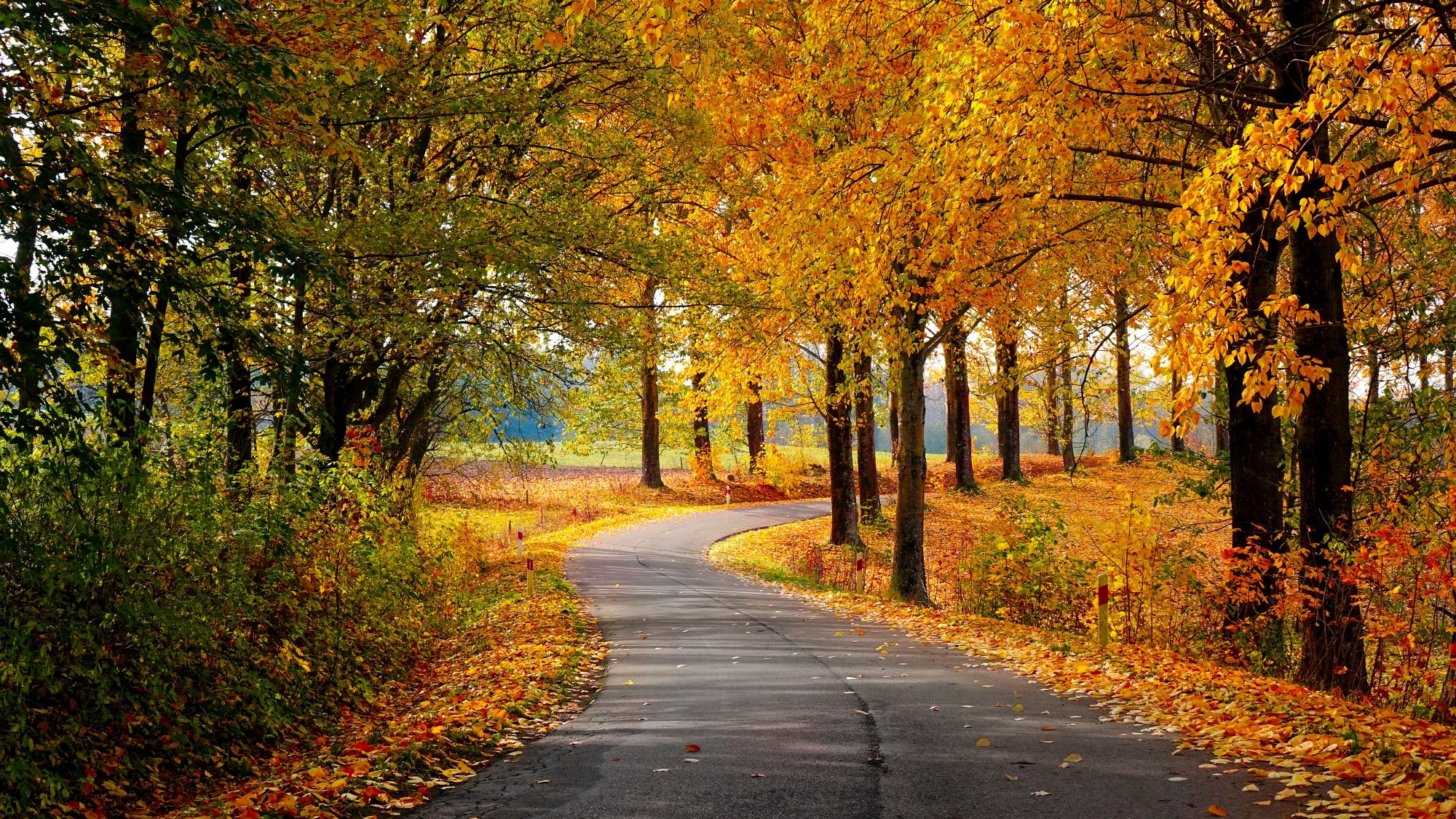 Kraina jesieni - zdjęcie 25