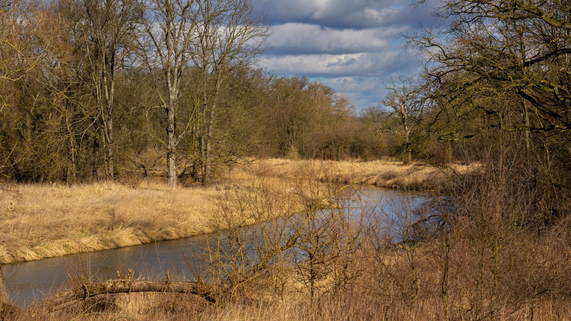 Wiosna coraz bliżej - zdjęcie 35