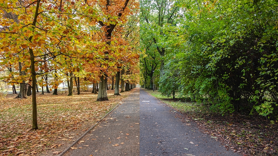 Porównanie jesieni 18 października w 2018 roku (po lewej) i w 2016 roku (po prawej). Fot. TwojaPogoda.pl