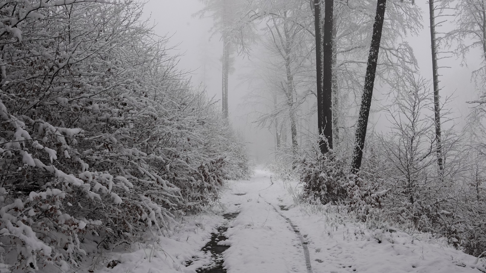 Oblicza zimy - zdjęcie 11