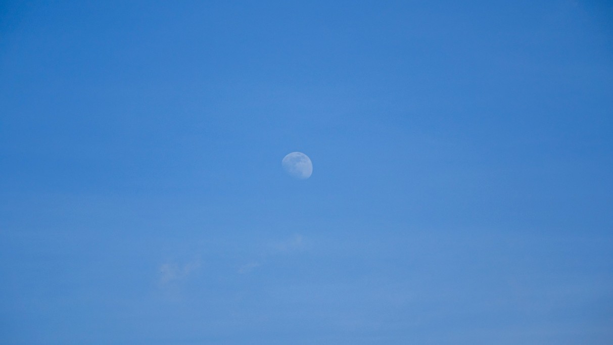 Marzec w obiektywie - zdjęcie 53