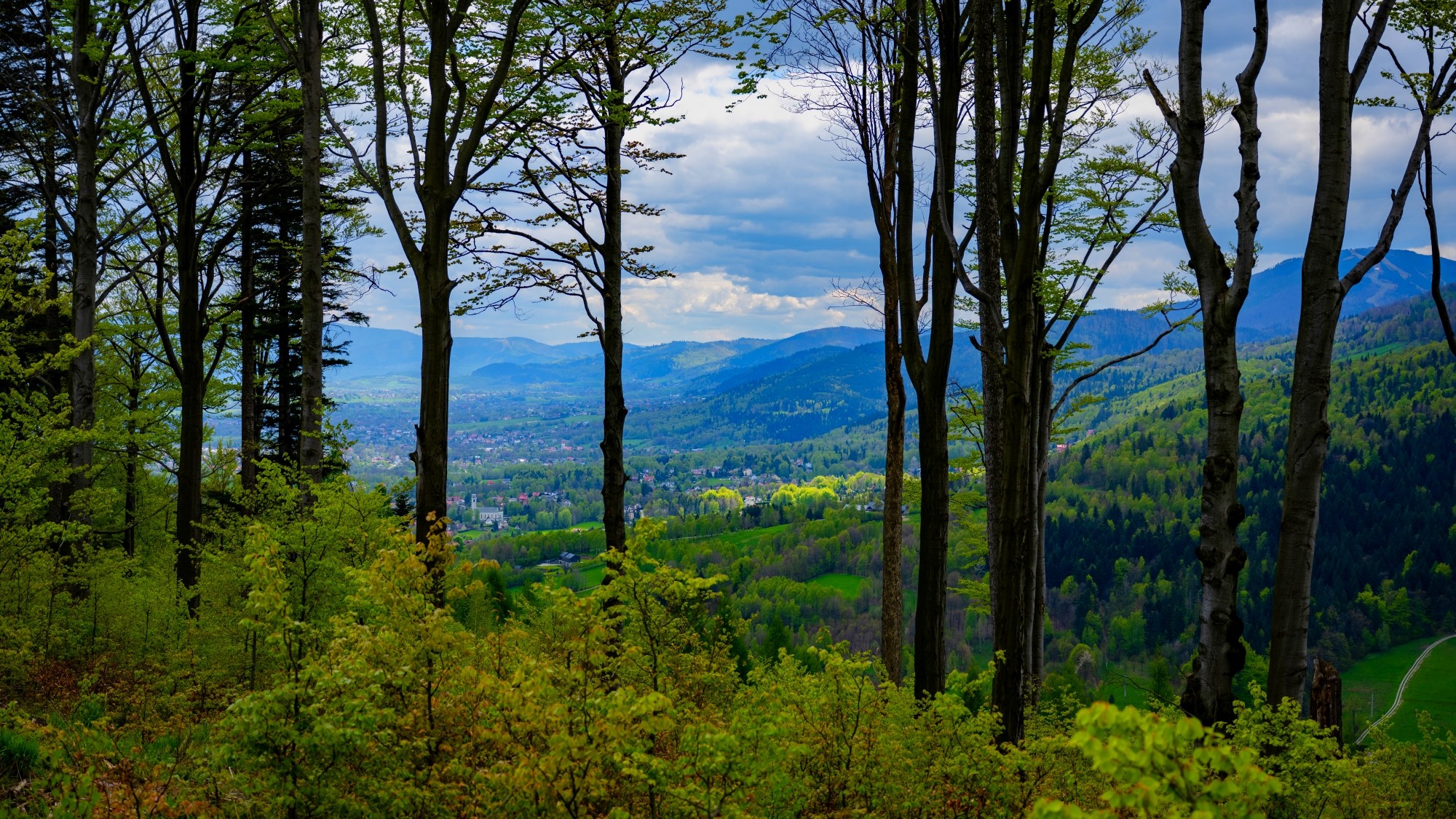 Zachwycający maj - zdjęcie 4