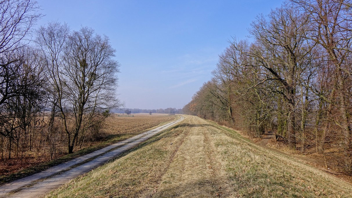 Marzec w obiektywie - zdjęcie 18