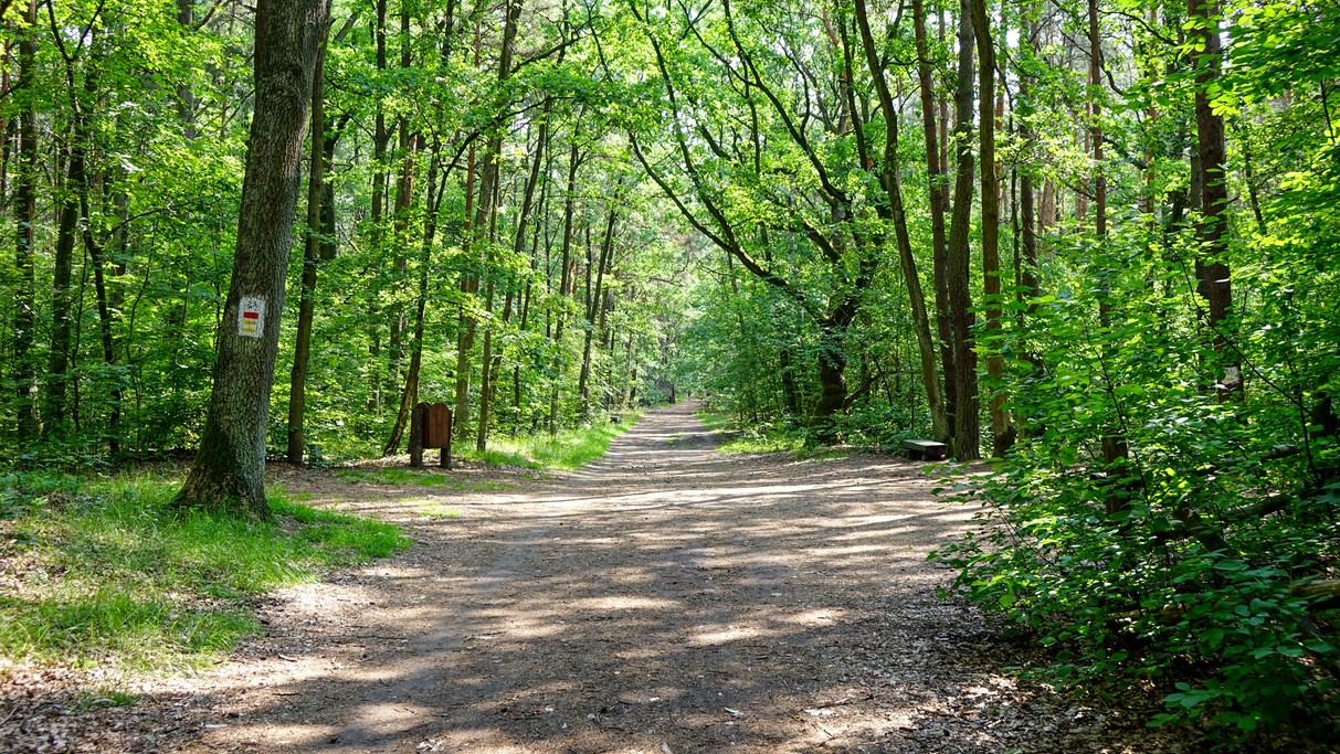 Czerwiec w obiektywie - zdjęcie 61