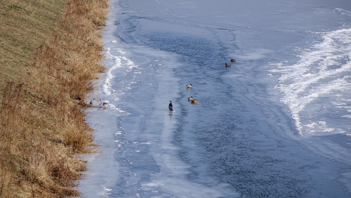 Luty w obiektywie - zdjęcie 38