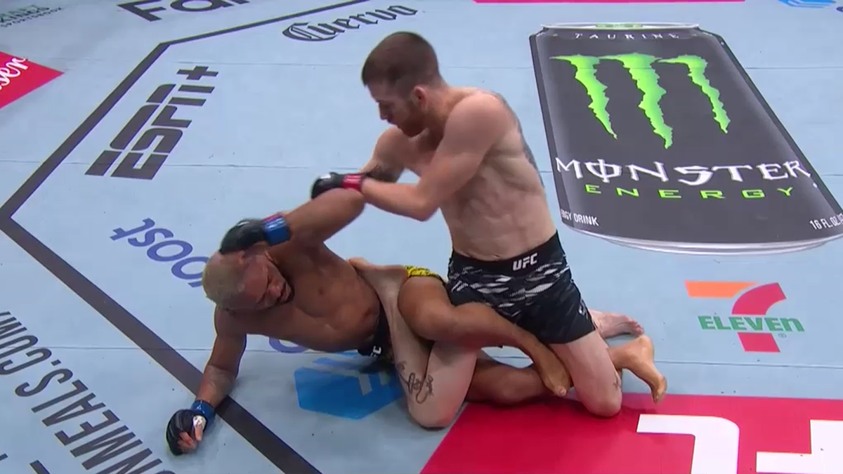 UFC on ESPN 67: Wyniki i skróty walk