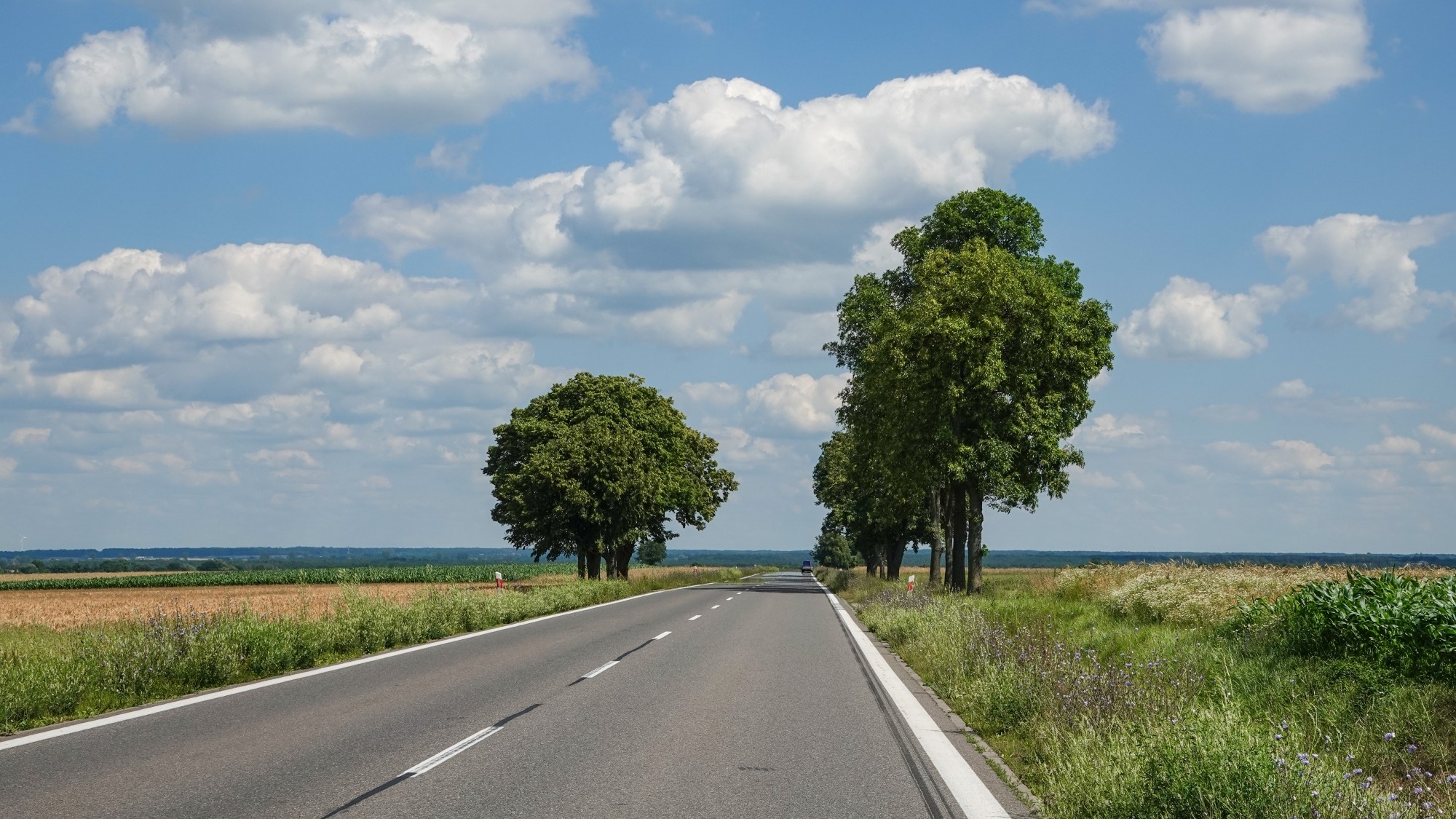 Środek lata w plenerze - zdjęcie 14