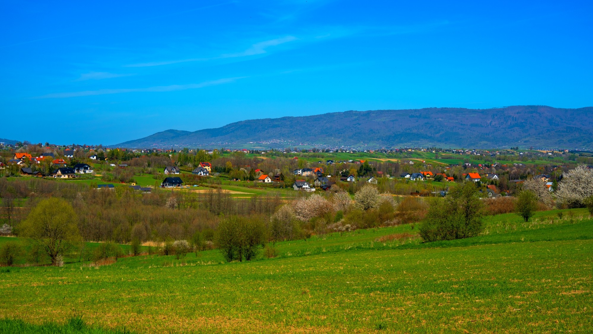 Zachwycający maj - zdjęcie 30