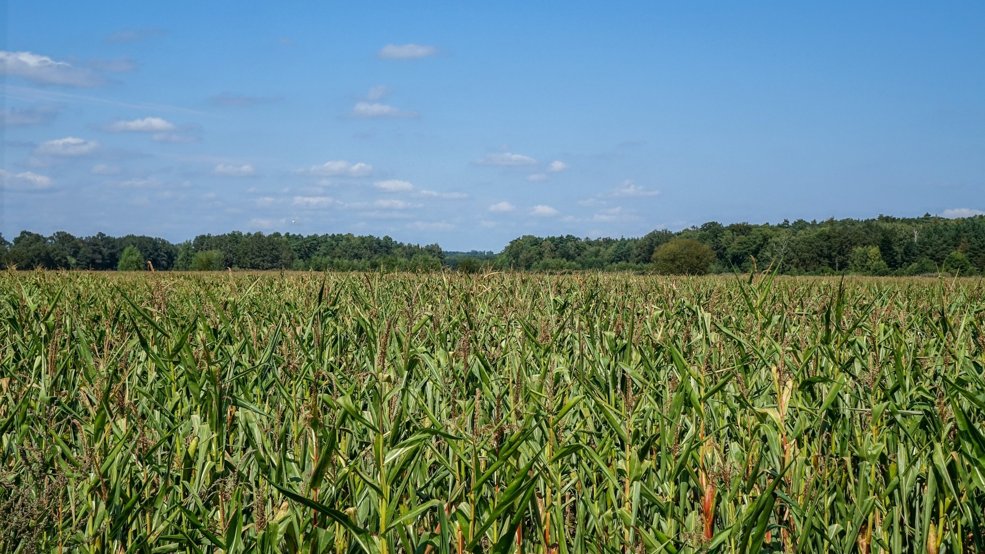 Wrzesień w obiektywie - zdjęcie 38