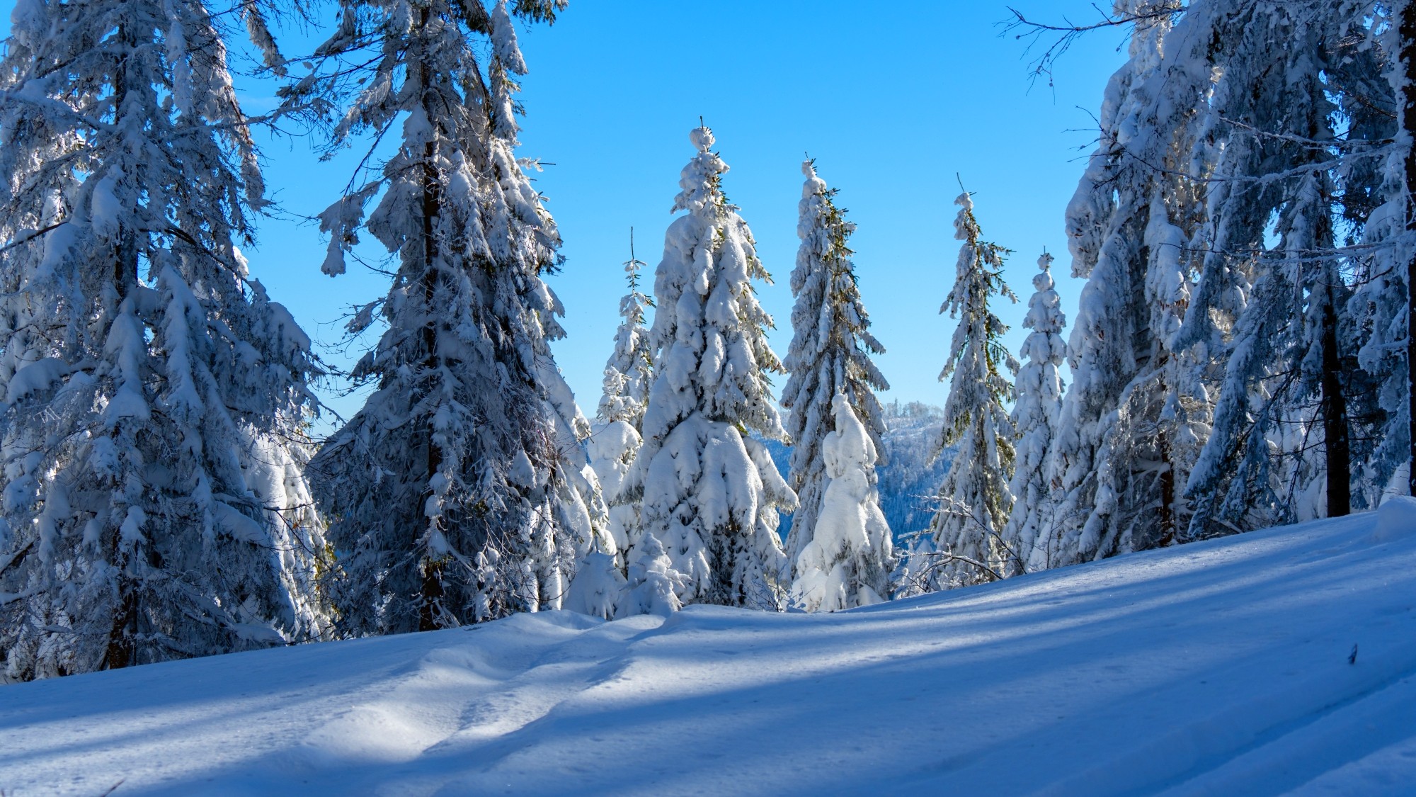 Zima w górach - zdjęcie 11