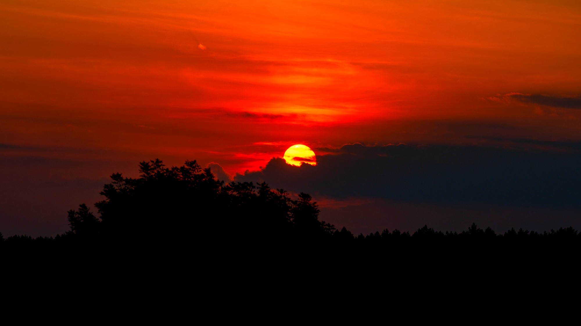 Wśród natury - zdjęcie 6