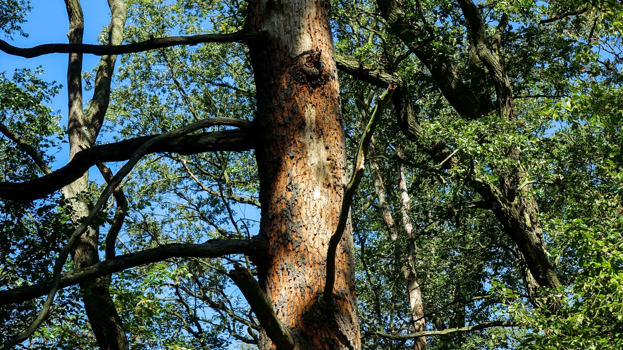 Wrzesień w obiektywie - zdjęcie 27