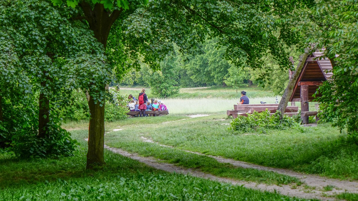 Maj w obiektywie - zdjęcie 9