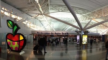 Ewakuacja na lotnisku JFK w Nowym Jorku